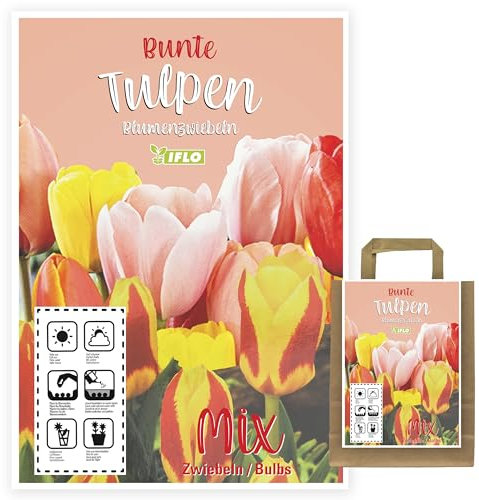 Blumenzwiebeln in Geschenkverpackung - Zwiebeln, Knollen verschiedener winterharter Pflanzen für Garten und Balkon - bunt, mehrjährig, für Topf und Beet (100 St. Tulpen Mix)