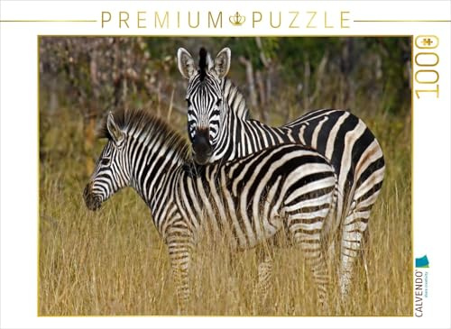 CALVENDO Puzzle Zebra-Kleinfamilie, Namibia | 1000 Teile Lege-Größe 64 x 48 cm Foto-Puzzle für glückliche Stunden
