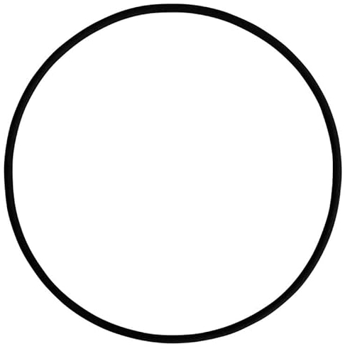 SCHÜTZ EPDM Dichtung DN 225 für IBC Deckel