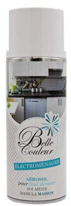 Bombe De Peinture Electroménager Blanc