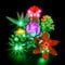 YEABRICKS LED Light for Lego-10309 Creator Succulents Building Blocks Model (Lego Set NOT Included)