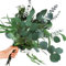 Oning 12 PCS Eukalyptus Getrocknet 3 Arten gemischte Echt Eukalyptuszweige mit Eucalyptus Gunnii Natürliche Trockenblumen Eukalyptusblätter für Hochzeit Dekoration, Zimmer, Balkon deko (ca. 30-38 cm)