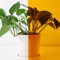 ACESOME Tinted Window Film, Coloured Window Film, Transparent Self-Adhesive Film, Glass Tinting Film, Coloured Glass Self-Adhesive PET for Windows, Doors, Room Divider, Mirror (Gold yellow, 40* 100cm)