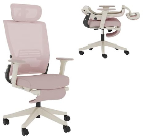 FLEXISPOT Ergonomischer Bürostuhl, Foldex, klappbarer Bürostuhl für Kleine Räume mit Lendenwirbelstütze, Höhenverstellbaren Armlehnen, 2D Kopfstütze, Schreibtischstühle mit Fußstütze für Homeoffice
