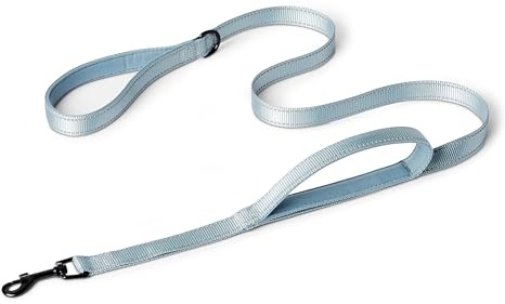 Amazon Basics Dog Lead with Dual Padded Handles and D-Ring, 180 cm, Black/Blue