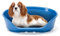 Ferplast Hundebett Katzenbett Kunststoff-Hundebett Medium Hundeliege waschbar Hundekorb atmungsaktiv rutschfest Siesta Deluxe, 62 x 41 x h 23,5 cm, Taubengrau