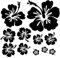 Finest Folia Dekoaufkleber Hibiskus Blumen Home Deko Aufkleber zuhause Sticker wohnen Toilettendeckel Kühlschrank Laptop Toilette selbstklebend K165 (01 Schwarz)