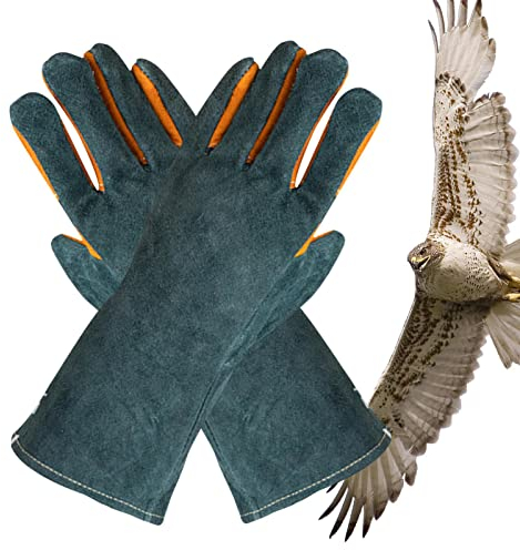 Beedozo Bissfeste Handschuhe Für Den Umgang Mit Tieren Tierhandhabungshandschuhe Anti-Biss Arbeitshandschuhe Zum Pflegen Haustierpflegezubehör Für Hunde Und Katzen Vogel