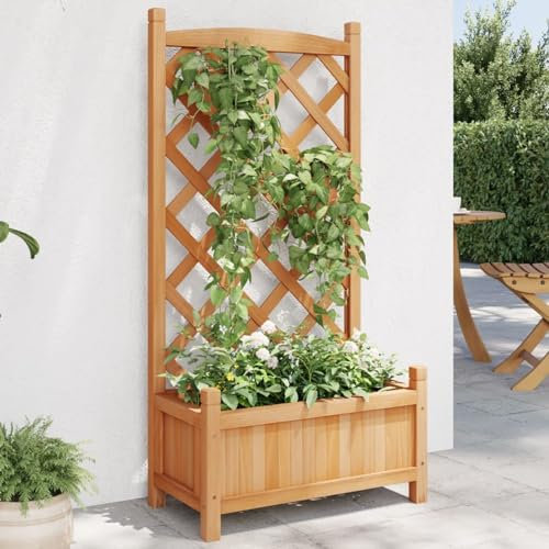 BaraSh Jardinera con Enrejado de Madera Jardinera Madera Exterior maceteros Exterior jardineras Exterior Maciza de Abeto marrón - 365485