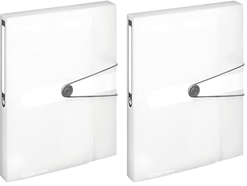 Herlitz 11206174 Sammelbox, A4, PP-Folie, transparent (Packung mit 2)