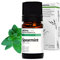 Aroma Labs - Albahaca - Aceite Esencial Orgánico - Quimiotipado y Certificado AB - 10 mL