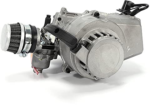 49CC 2 Takt Pocket Bike Motor Benzinmotor für Fahrrad Motor Komplett 49CC Zweitaktmotor für 47CC/49CC Pocketbikes Mini Dirtbikes Mini ATVs