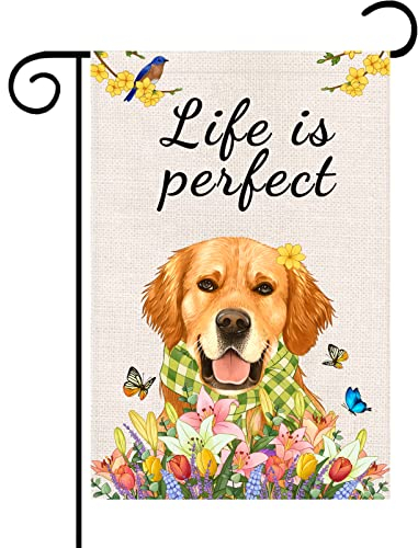 Iutumo Frühling Sommer Hund Gartenflagge 30.5x45.7 cm, doppelseitig, floral, goldener Retriever mit kariertem Schal, Monarch Schmetterling, Hof, Bauernhaus-Dekoration