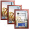 CABBEL Lot de trois (3 pcs.) cadres photo DIN A4 21x30 MDF cadre en bois en or rose | avec verre plexi incassable/Moderne