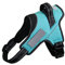 Liberte harness Hundegeschirr, kein Ziehen, Namensschild, aufsteckbar, Türkis, XXL, 22,7–29,9 kg