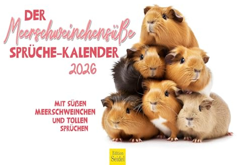 Edition Seidel Premium Kalender Meerschweinchen 2026 Format DIN A3 Wandkalender Tierkalender Tiere mit lustigen Sprüchen coole Zitate