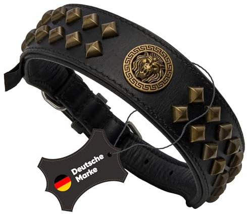 MICHUR Diego Schwarz 1. Wahl !! Hundehalsband Leder Lederhalsband Hund Halsband Löwenkopf Nieten Messing Optik Gold