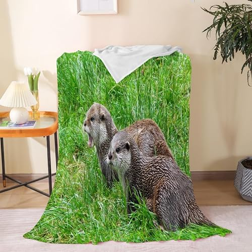Linfye 3D Flanell Decke 150x200, Otter - GrüNes Gras Fleecedecke Felldecke für Jungen und Mädchen als Wohndecke Sofadecke Couchdecke Sofaüberwurf Blanket Wohnzimmerdecke Tagesdecke