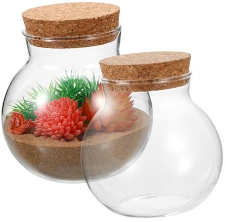 TOYANDONA Lot De 2 Terrariums en Verre Transparent pour Plantes Succulentes Micro-Paysage Bouteille Scellée Mini-Terrarium À Fleurs Terrariums Pot en Mousse Transparent Jardin