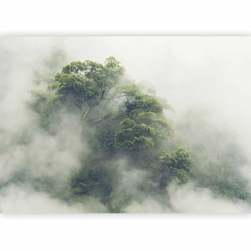 murando Fotomurales autoadhesivo Bosque Niebla 343x256 cm Papel Pintado | Decoración de Pared Murales Pegatina decorativos adhesivos 3d moderna de Fotográfico Naturaleza Arbol Paisaje