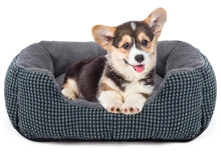 FURTIME Hundebett Kleine Hunde, Hundekorb Waschbar Flauschig, Anti-Rutsch Hundekörbchen Weich, Anti-Angst Hundebetten für Kleine Hunde und Katzen, 51x48x15cm