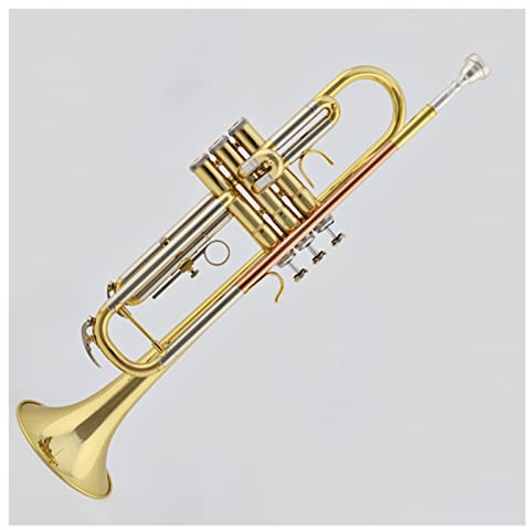 Student Trompete B-Profi-Trompete, B-Trompete, Mundstück Und Gehäuse, Lack-Gold-Blasmusikinstrument Trompete