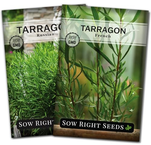 Sow Right Seeds - Tarragon Seed Collection for Planting - French and Russian Varieties - Non-GMO Heirloom Packet with Instructions to Plant an Outdoor or Indoor Herb Garden - Perennial Leafy Green