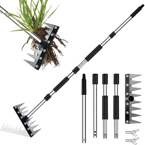 Rastrillo de jardín, rastrillos de acero al manganeso para jardinería, rastrillo de jardín de 155 cm, resistente, rastrillos de metal de 8 dientes con mango de acero inoxidable, para aflojar la