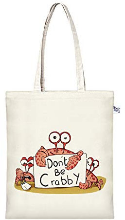 EcoRight 100% Organic Canvas Tote Bag with Zip, Eco-friendly Small Tote Bags for Women for Christmas, Travel, Beach & Shopping