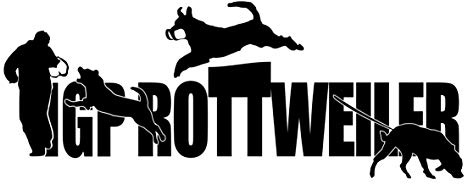 siviwonder Auto Aufkleber IGP ST Schrift Rottweiler Autoaufkleber K9 Hundeanhänger ehemals IPO Hundesport Hundemotiv schwarz
