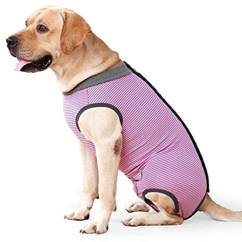 HEYWEAN Dog Recovery Suit Spay Suit for Female Dog Bodysuit After Surgery Dogs Onesie for Surgery Male Dogs Surgical Vest Substitute Recovery Collars