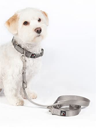HKM ANAM Cara Hundetrainingsleine Taupe L