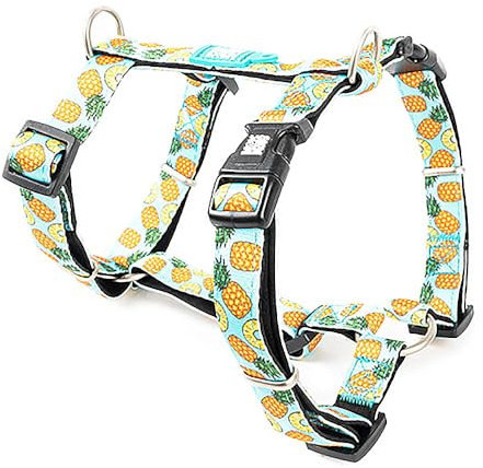 Max & Molly H-Geschirr - Sweet Pineapple, M