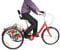 Konfiur Dreirad für Erwachsene, 24 Zoll 7 Gang Lastenfahrrad, Modern 3 Räder Fahrrad Erwachsene mit Einkaufskorb, City Einkauffahrrad Bike, 3 Räder Dreirad für Outdoor-Aktivitäten (Rot)
