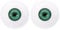 PATIKIL 30mm Safety Eyes,1 Pair Realistic Acrylic Eyes Plastic Half Eyeballs for Masks Halloween Props Art Craft, Green