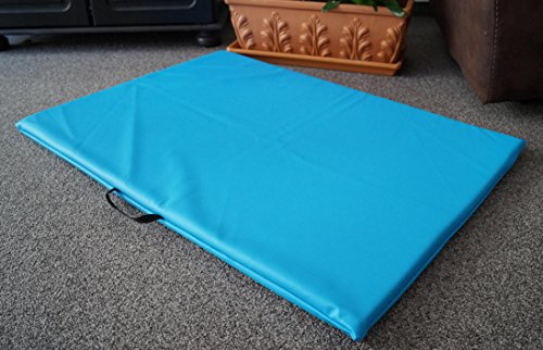 Hundebettenmanufaktur Hundematte Hundematratze Matte beidseitig Kunstleder Schaumstoff 3 cm (120 cm X 80 cm, blau)