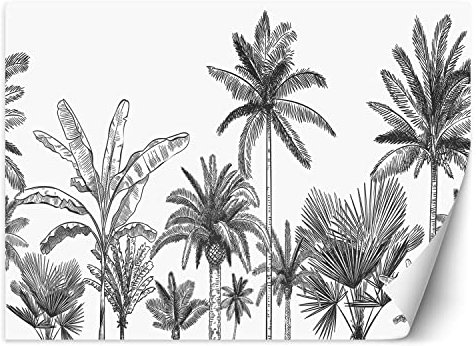 Feeby Papier Peint Intissé Exotisme Tropiques Esquisse Palmes 350x245 cm noir et blanc XXL Moderne Décoration Murale Tableaux Muraux Tapisserie Salon Chambre à coucher Feuilles Jungle Abstraction