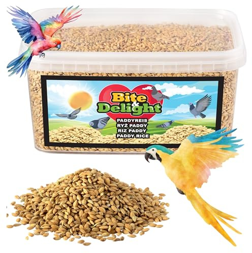 Bite & Delight 2kg Paddyreis Vogelfutter Futter-Reis für Wildvögel Papageien Tauben Fasane Ohne Künstliche Zusatzstoffe