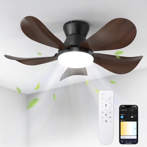 BLITZWILL Ventilatore da Soffitto con Luce, Ø66cm Ventilatori da soffitto con Illuminazione LED, Controllo App&Telecomando, 6 Velocità, 3 Colori Dimmerabile, 5 Pale, Silenzioso, Estate-Inverno,Timer