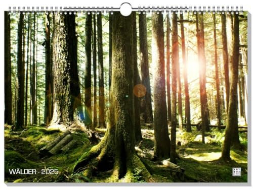 artboxONE Kalender 2026 WÄLDER Wandkalender A3 2026 Natur