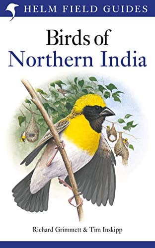 Field Guide to the Birds of Northern India (Helm Field Guides) (English Edition)
