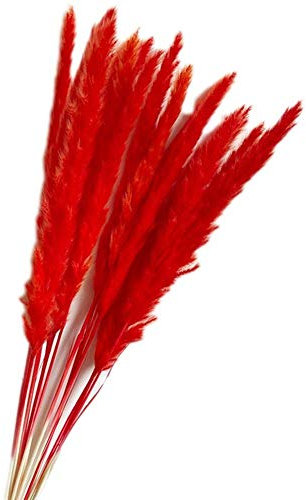 YIWOYI Pampasgras, groß, getrocknetes Pampasgras, dekorative Phragmiten, natürliche helle Farbe, Hochzeitsblumenstrauß, natürlich getrocknetes Gras, Blume, schönes Schilf (rot)