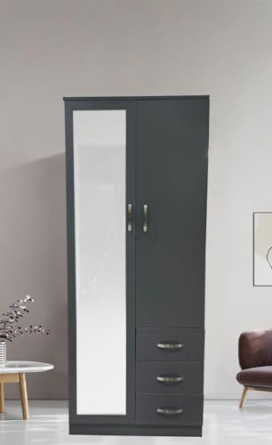 PALAKLOT 2 Door 3 Drawer Full-length Mirror Wardrobe | Modular Cabinet for Space Saving | Ideal Storage Organizer | Matt Finish (Grey)