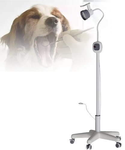 ZYLDDS Untersuchungslampe für chirurgische Eingriffe, 360° drehbare Lampe mit Standfuß, Mobile medizinische Untersuchungsleuchte für Gynäkologie, Ambulanzen, Stomatologie, HNO