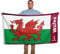 FOCO Officially Licenced Wales FIFA World Cup Qatar 2022 Football Flag