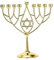 BRTAGG Menora mit Davidstern (Chanukkia BZW. der Chanukkaleuchter) 9 Zweige Kerzenhalter, Upgrade-Cups mit Eingebaute Pins, Höhe 24,5 cm, Jüdische Geschenke (Gold)