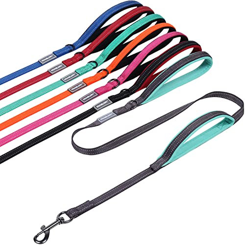 VIVAGLORY Twingrip Dog Lead, Double Handle Dog Lead for Training & Walking with Traffic Handle & 2 Loop, Traffic Control Reflective Heavy Duty for Puppy Pet, 1.2m x 1.4cm, Grey