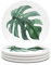 Haocoo Round Drink Coasters set of 4 - Absorbent Stone Coaster Set with Cork Base and Ceramic Stone, Decorative Cup Coasters for Kinds of Mugs and Cups… (Leaves)