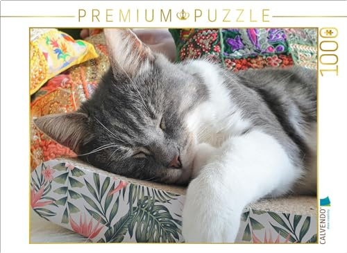 CALVENDO Puzzle EIN Motiv aus dem Kalender Häng einfach mal ab | 1000 Teile Lege-Größe 64 x 48 cm Foto-Puzzle für glückliche Stunden