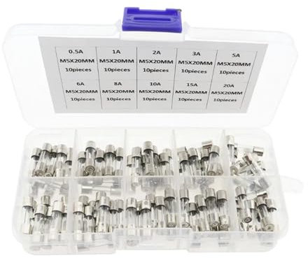 DAISHUJIE sicherungen 100 Stück flinke Glassicherungen fürs Auto, Glasrohrsicherungen fürs Auto, 0,2–20 A, 0,5–30 A, sortiertes Set for Autolicht, Luftpumpe, Staubsauger